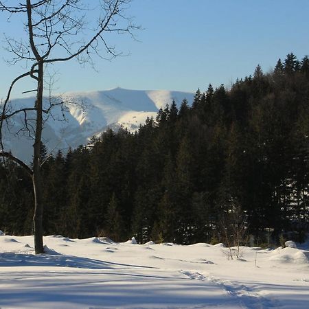 Chata Donovaly Buly 242/C Bagian luar foto